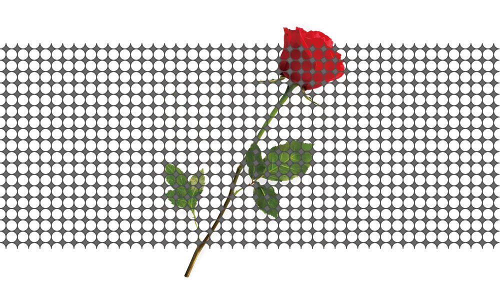 Серия STH (2)